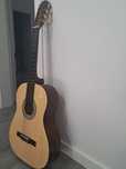 Vendo guitarra stagg
