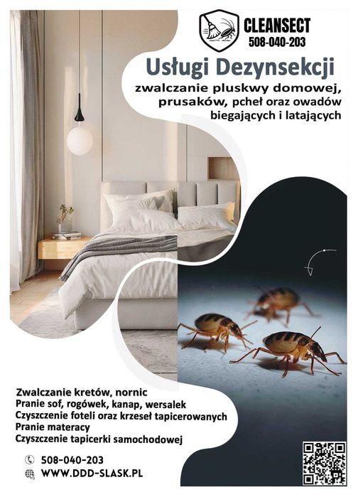 Zwalczanie kreta, pluskwy, ozonowanie, pranie tapicerki TANIO ŚLĄSK