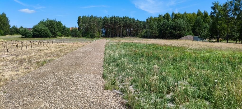 Sprzedam działki Budowlane Promnik