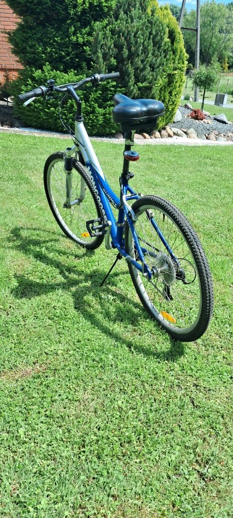 Rower summit mongoose