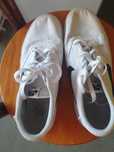 Ténis nike sb usados