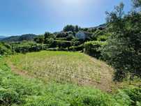 Quintinha com Árvores de fruto e Água