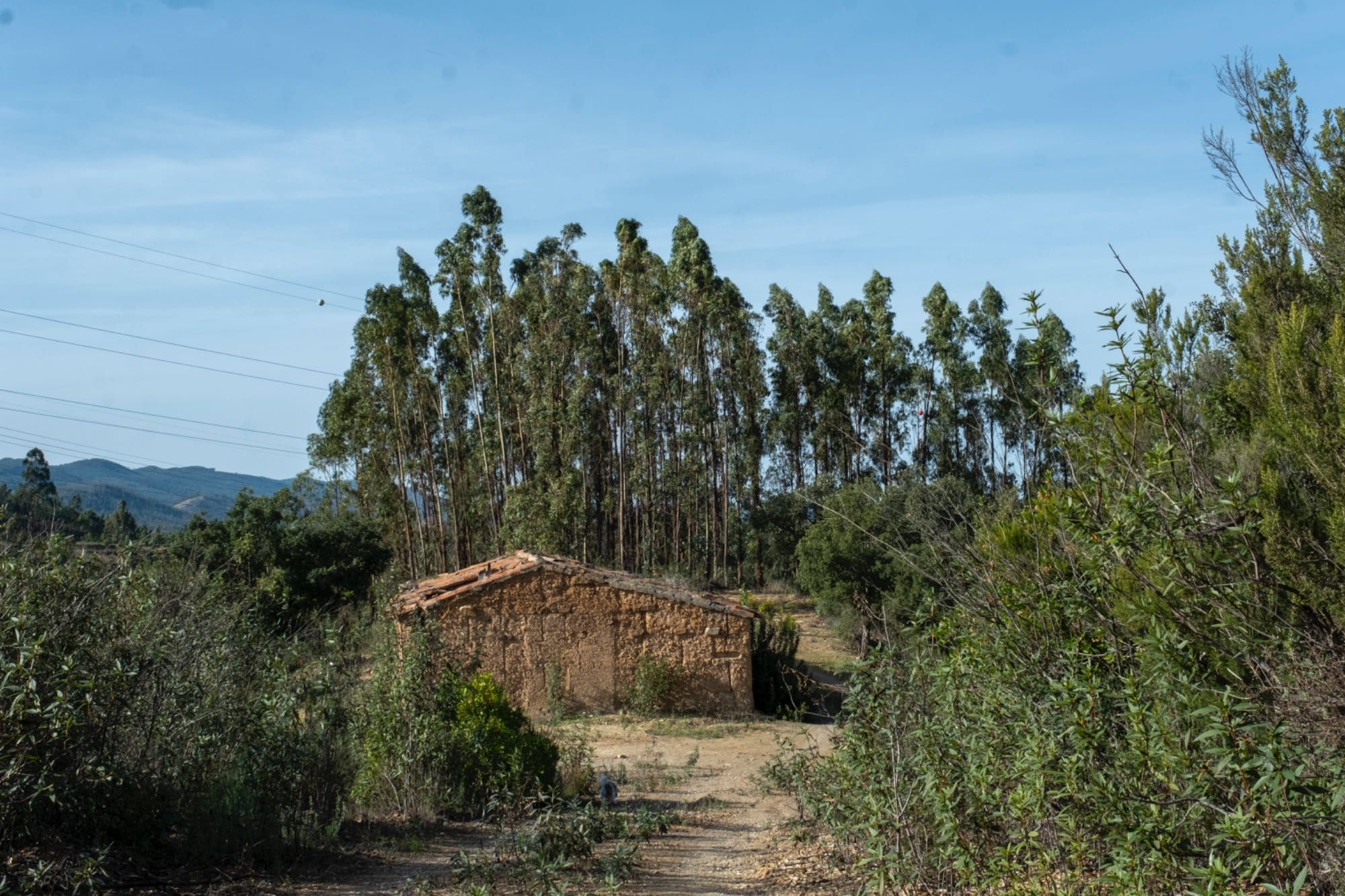Herdade Alentejo Sabóia Odemira