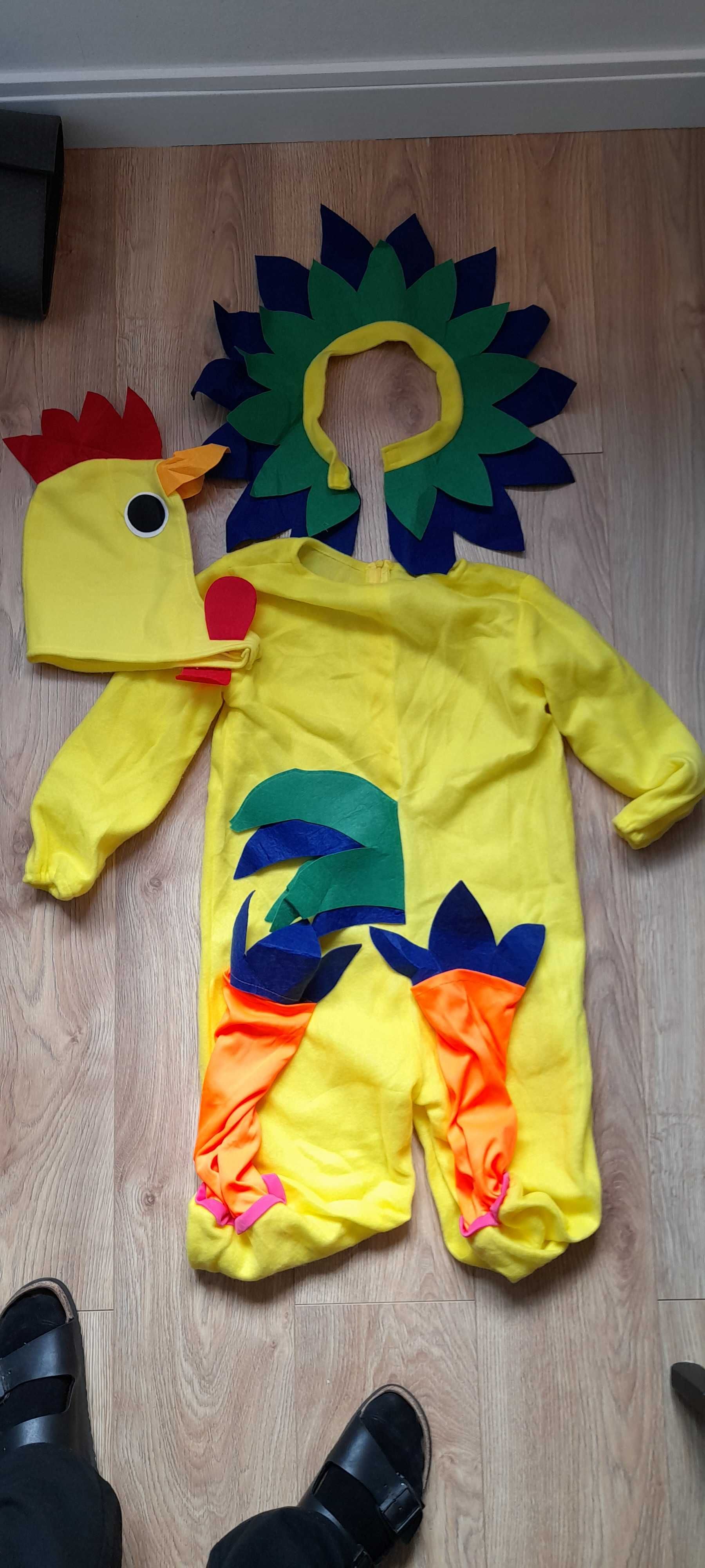 Fato Carnaval galo 7-9 anos
