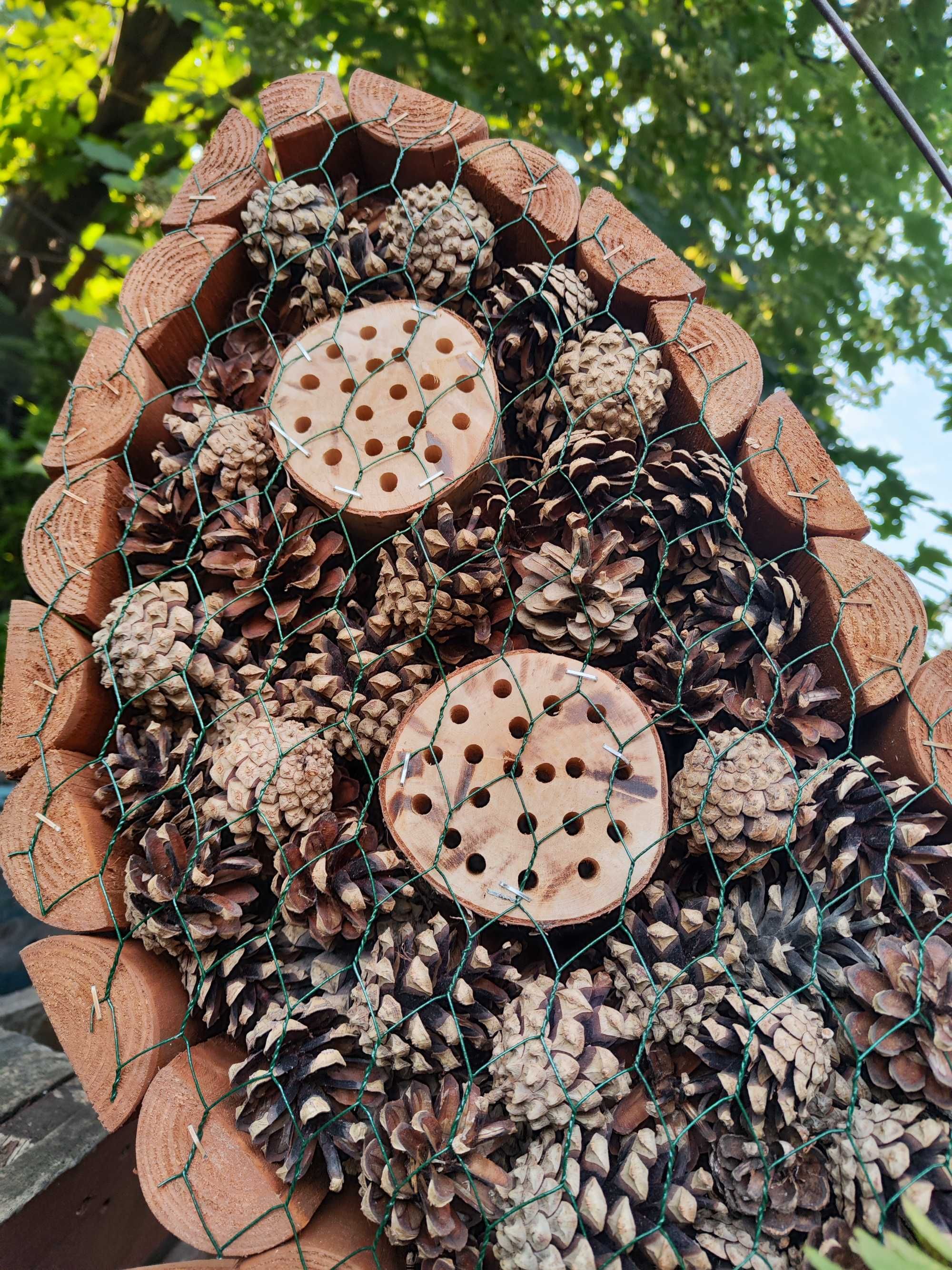 Domek dla owadów zapylających - motyl, pszczoła