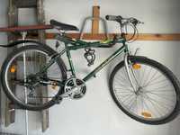 Zielony rower exp