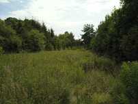 Działka 1283m2 Obrzycko