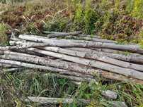 Drewniane stemple budowlane 30 szt
