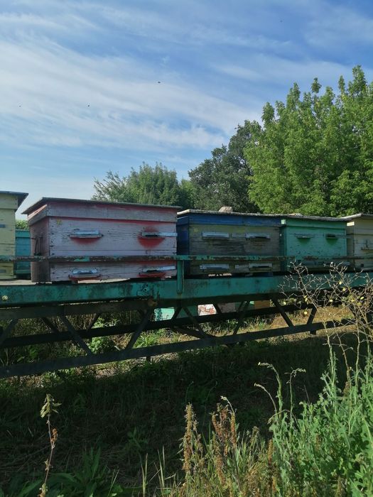 Продам два причіпи для пасіки