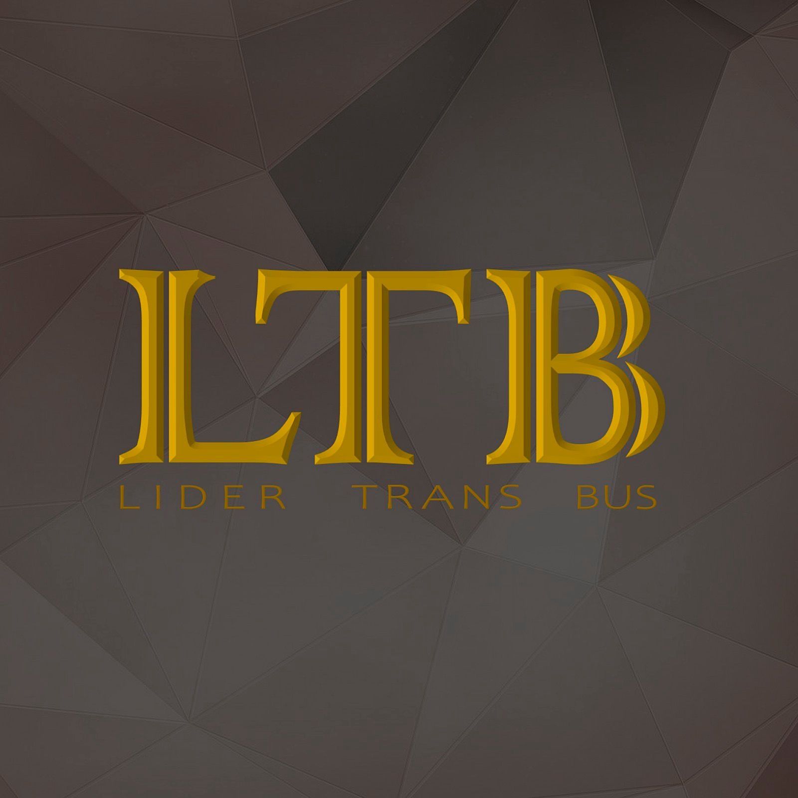 Lider_Trans_Bus  Україна-Європа