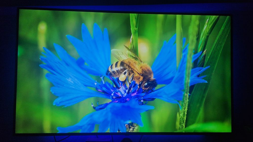 !!! BARATO !!! LG 65UJ651V SMART TV - 65"