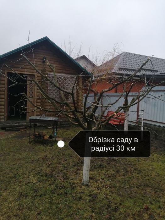 Професійна обрізка та обробка сада, спил дерев розчистка участка