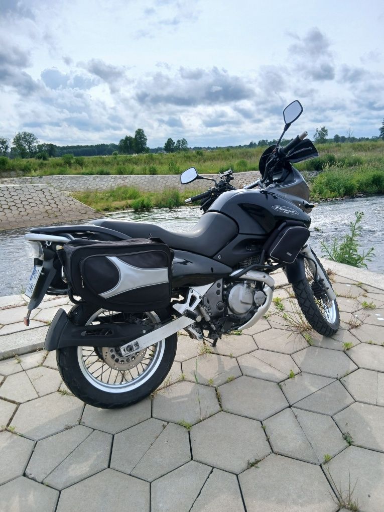 Suzuki XF 650 Freewind