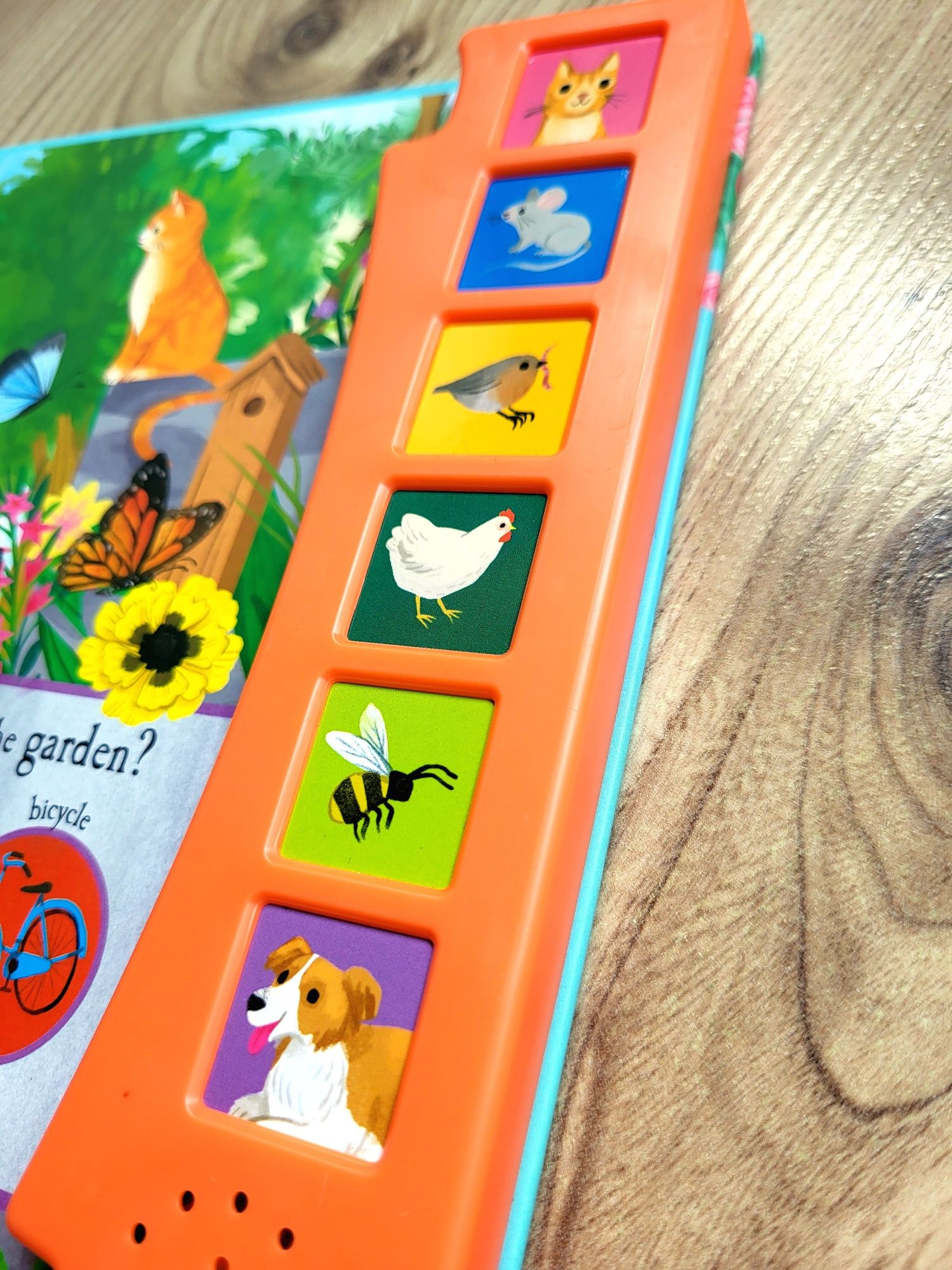 Let's Explore The Noisy Garden sound book książka dźwiękowa angielski