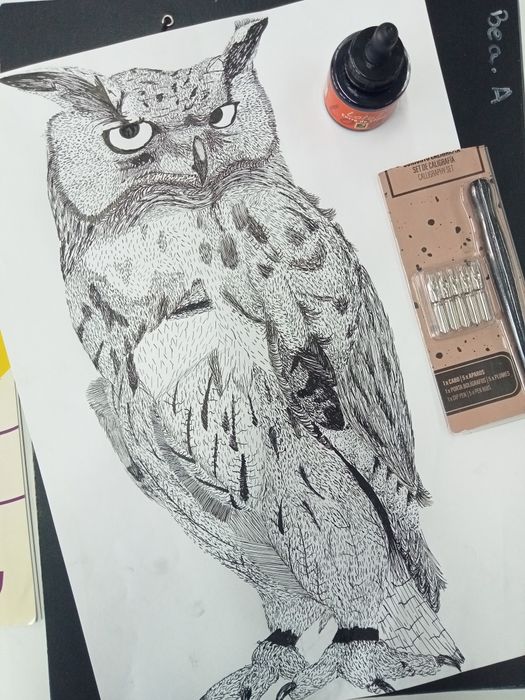 Desenho animais e retratos bebê/criança/adulto