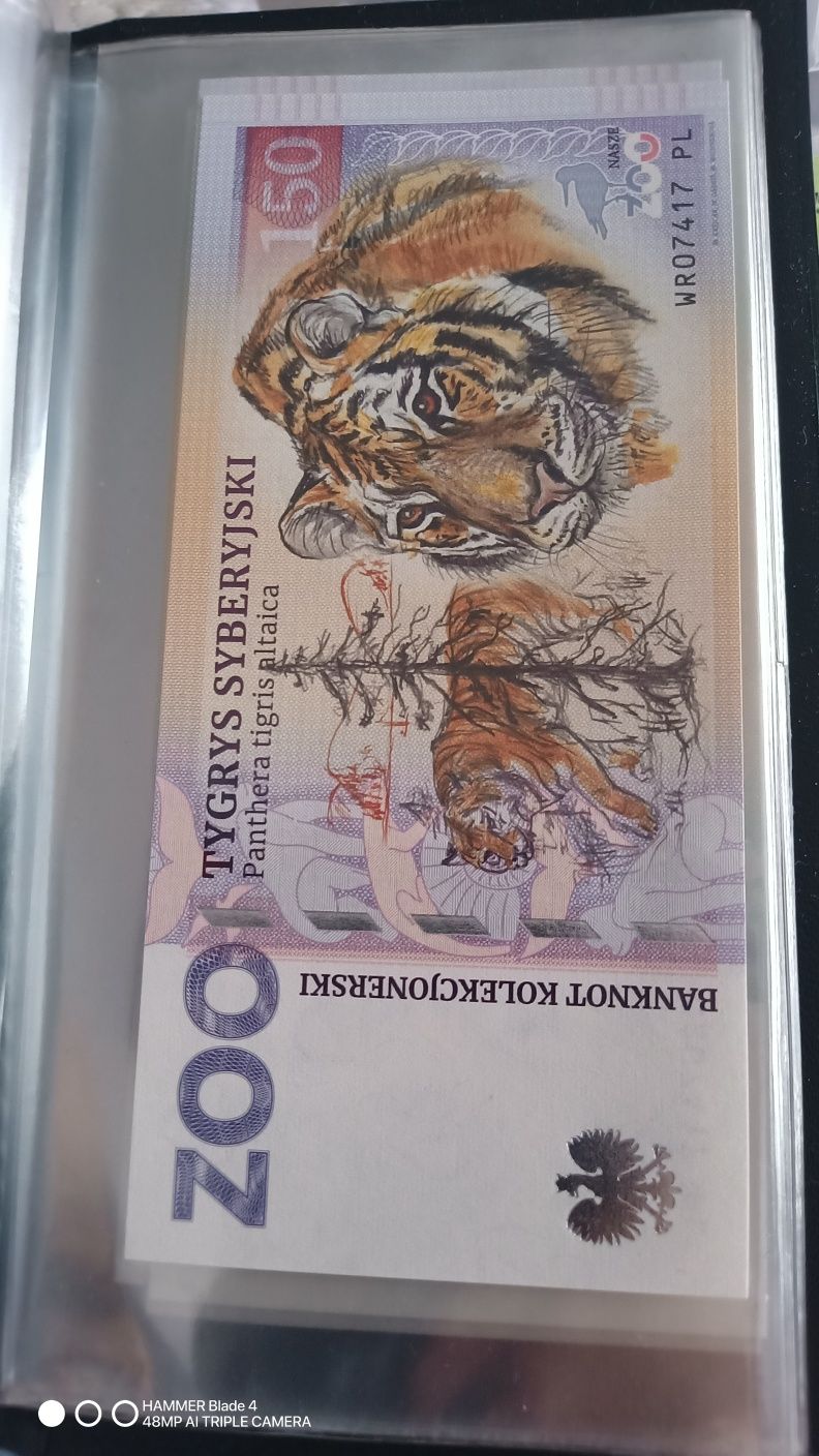 Zoo Wrocław banknot