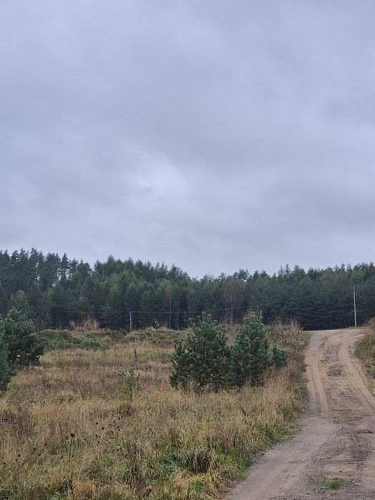 Mściszewice- działka na sprzedaż