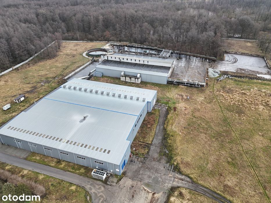 Syndyk sprzeda nieruchomości - Panoszów