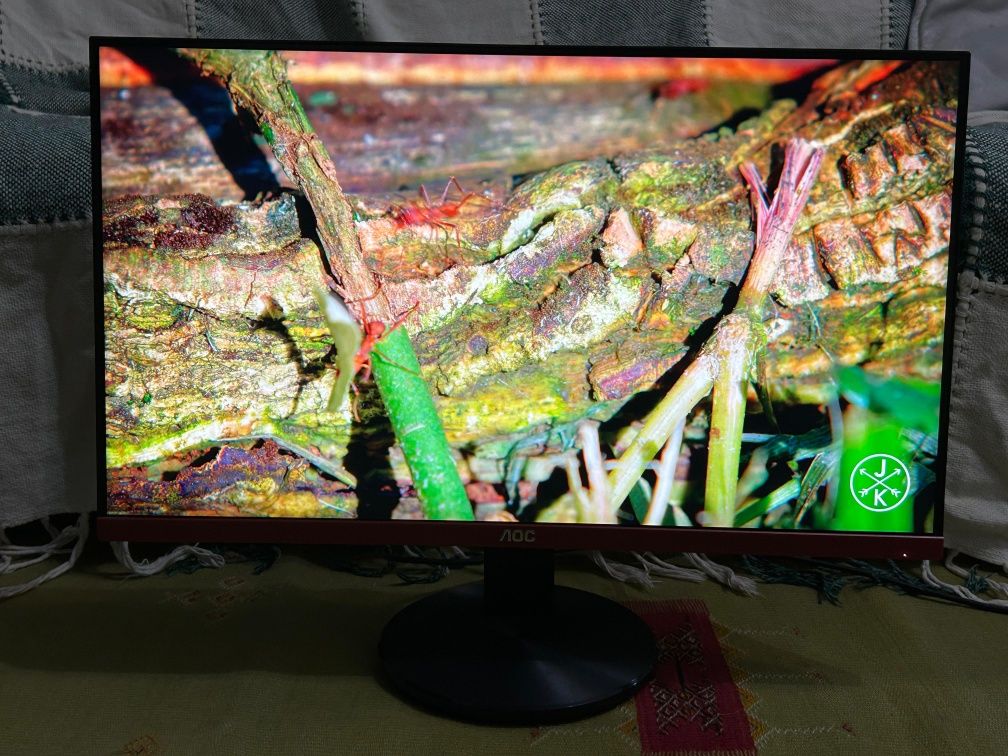 Monitor-semi novo