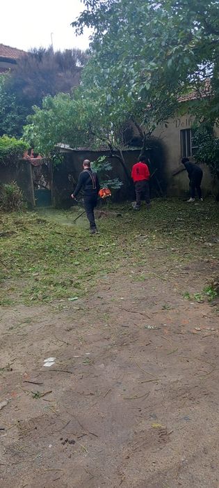 Limpeza de terrenos entulhos etc ligue ja orçamento grátis