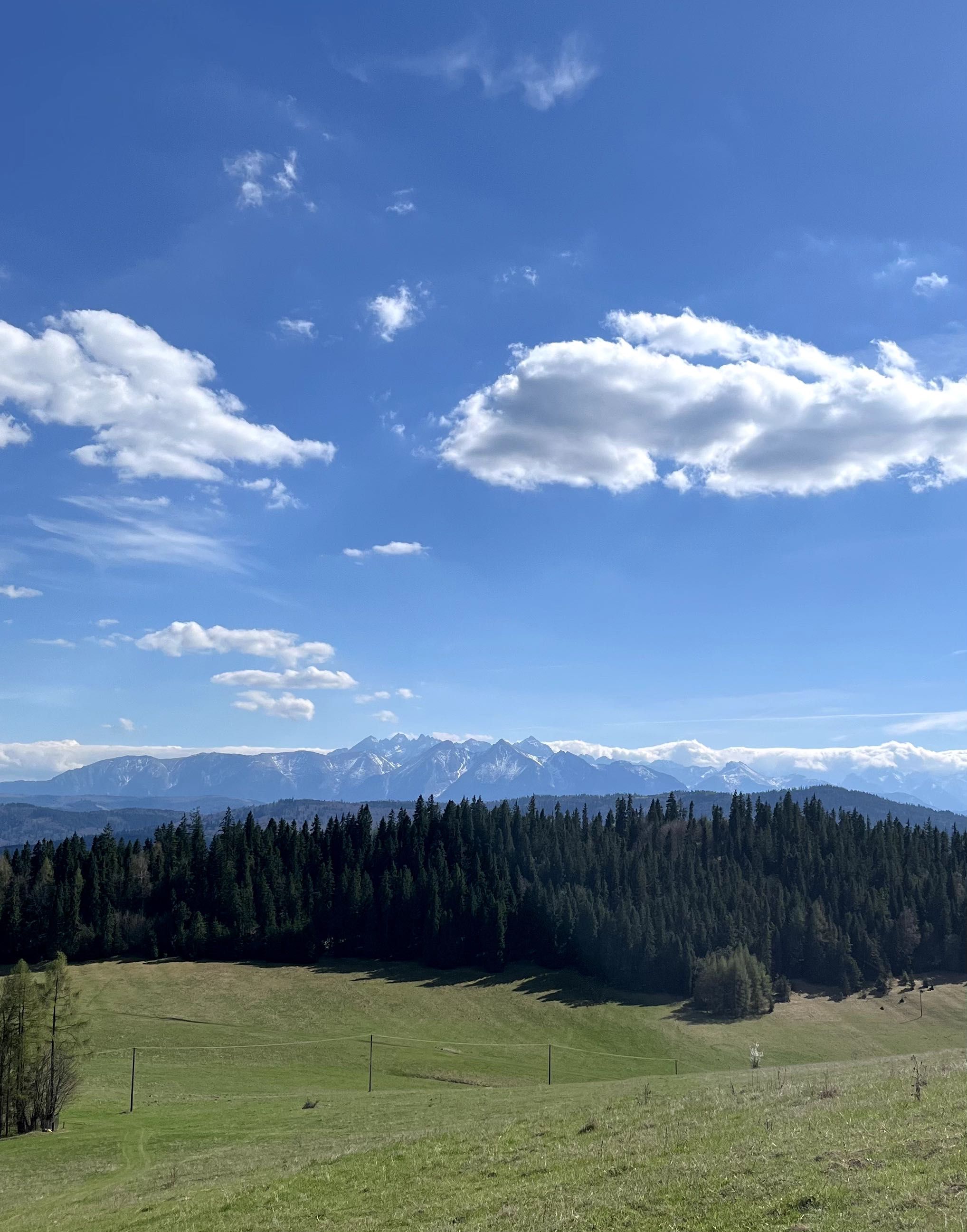 Działka z widokiem na Tatry w otoczeniu lasów z dala od zabudowań
