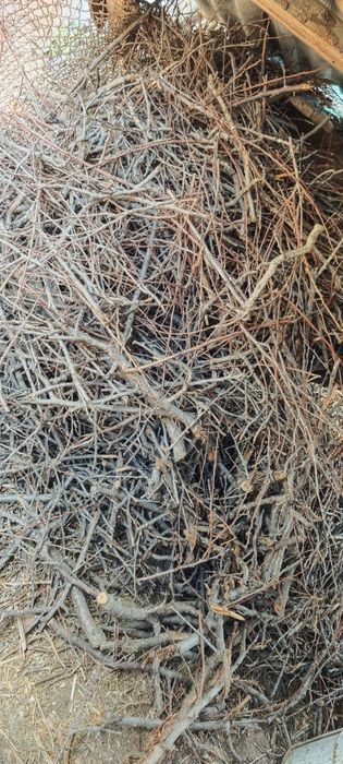 На дрова гілля(зріз з дерев)