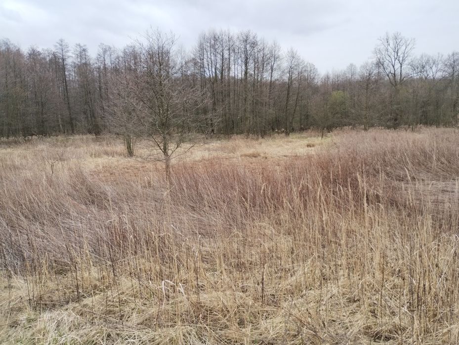 Sprzedam działkę rekreacyjną