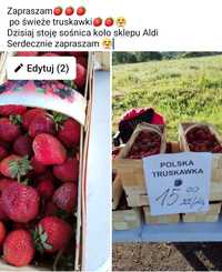 Sprzedaż świeże truskawek