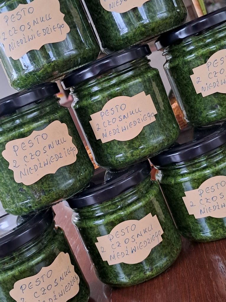 Pesto z czosnku niedźwiedziego 10x200 ml