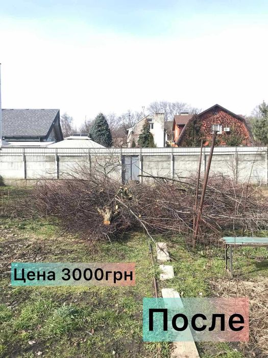 Спил дерев Безкоштовний вивіз