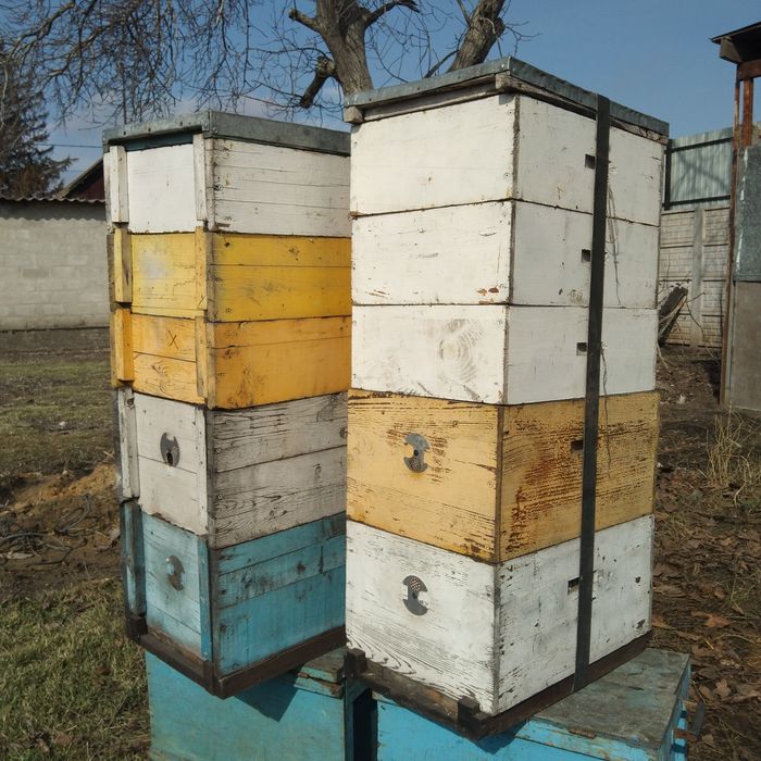 Ульи 8ми рамочные . проварены
