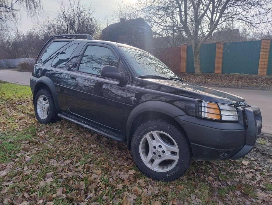 Продам Фрілендера