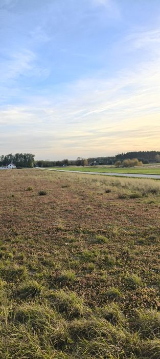 Działka budowlana Wiśnicz Małogoszcz