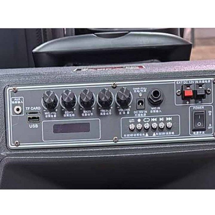 Караоке акустика Temeisheng-A15(Bluetooth,SD,USB,FM) пульт ДУ, 2микроф