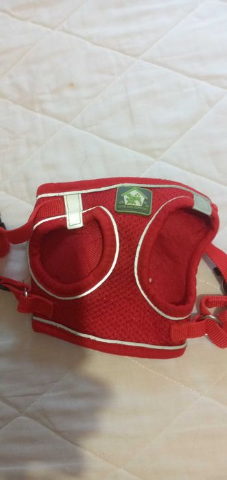 Шлейки для маленьких пород собак