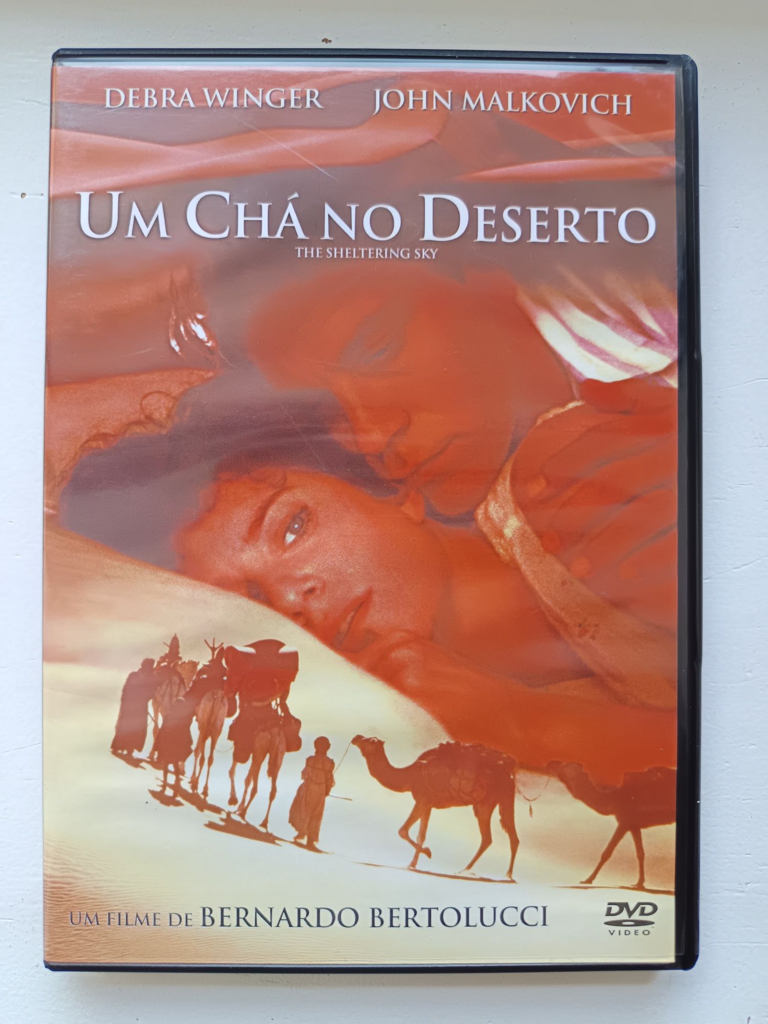 DVD um chá no deserto