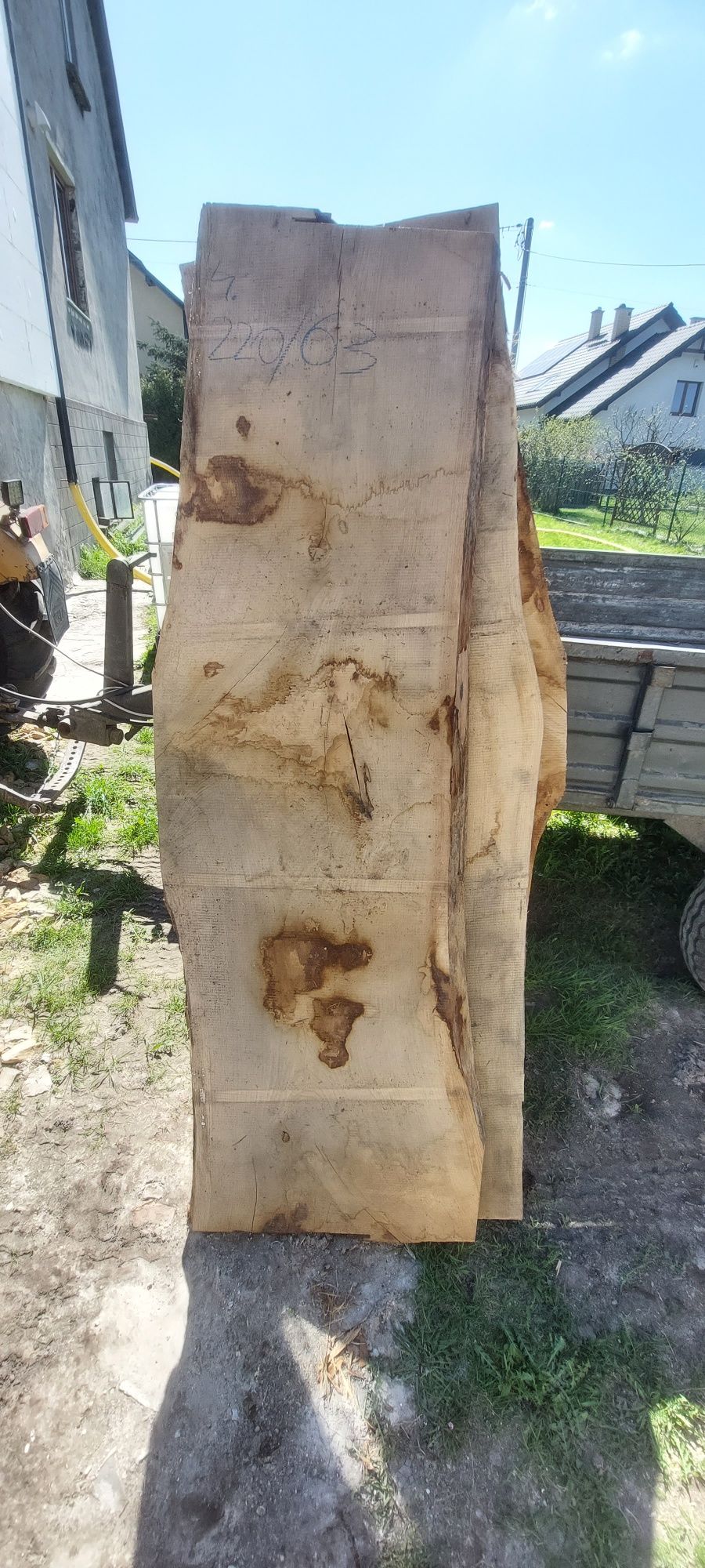 Blaty dębowe suche na stolik kawowy
