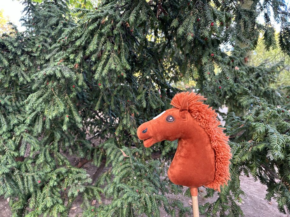 Hobby horse rydy