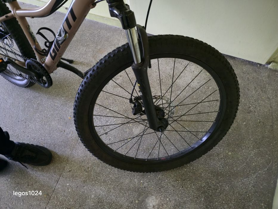 Rower dirty Giant
