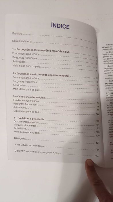 O Salta-Letras - Caderno 1 - Aquisições Básicas