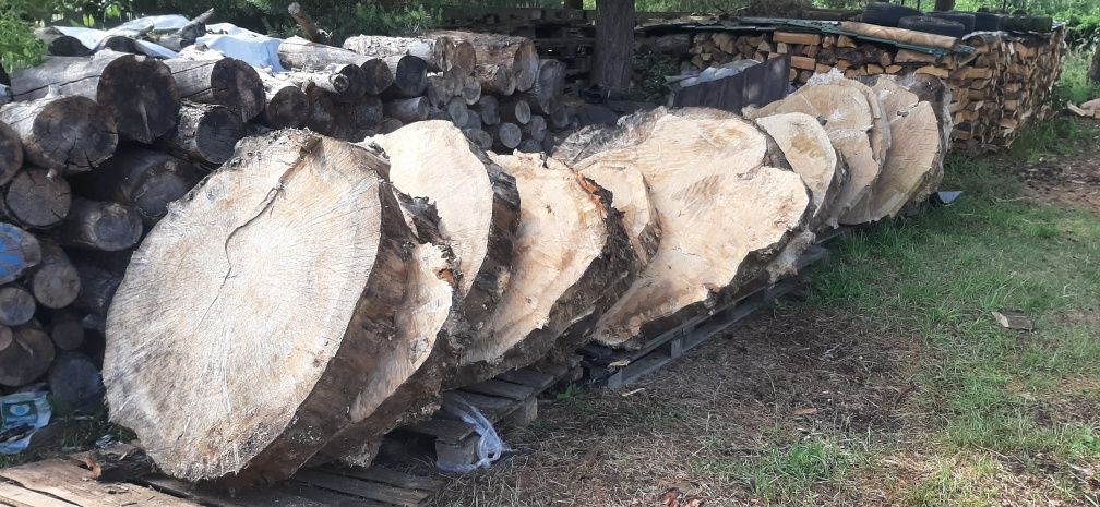 Topola lipa plastry plaster blat stolik