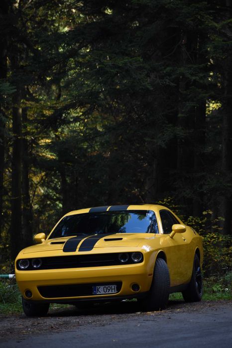 WYNAJEM Dodge Challenger Jesienna Promocja