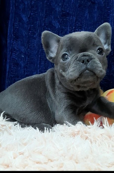 Гарненька дiвчинка .блакитна.