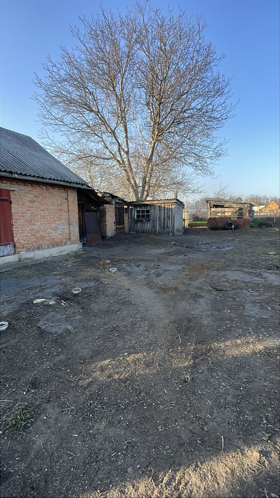 Продам будинок в мальовничому місці.