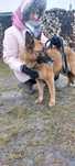 Zara sunia do adopcji