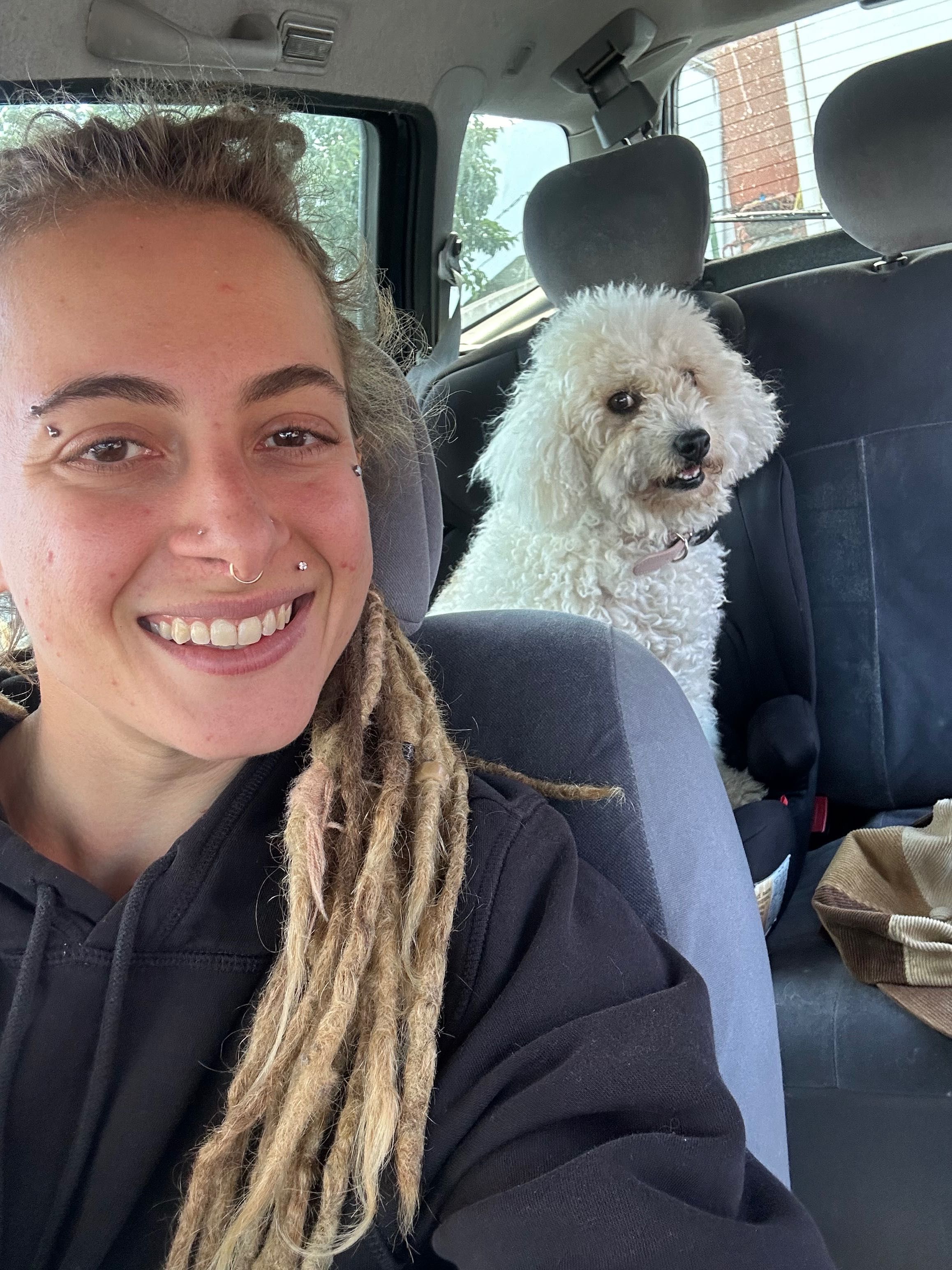 Pet sitting e walk/ baby sitting