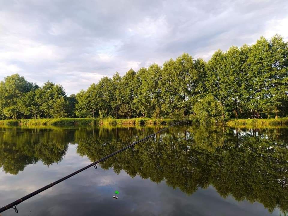 Рибалка озеро  відпочинок будиночок Львівська область