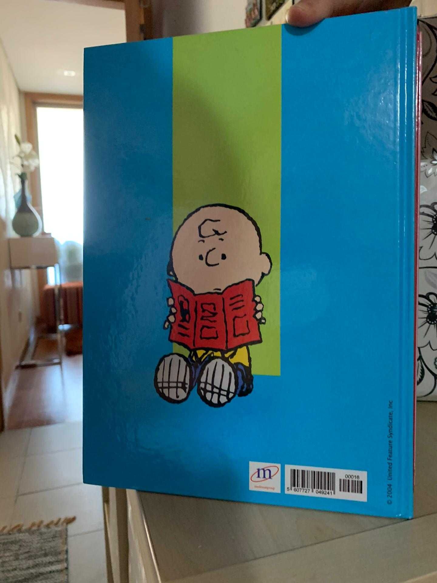 Coleção de 16 Dicionários em Português/Inglês do "Charlie Brown"