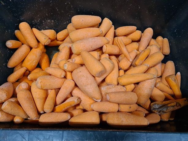 Морковь,  морква. Мішок 15-20кг.