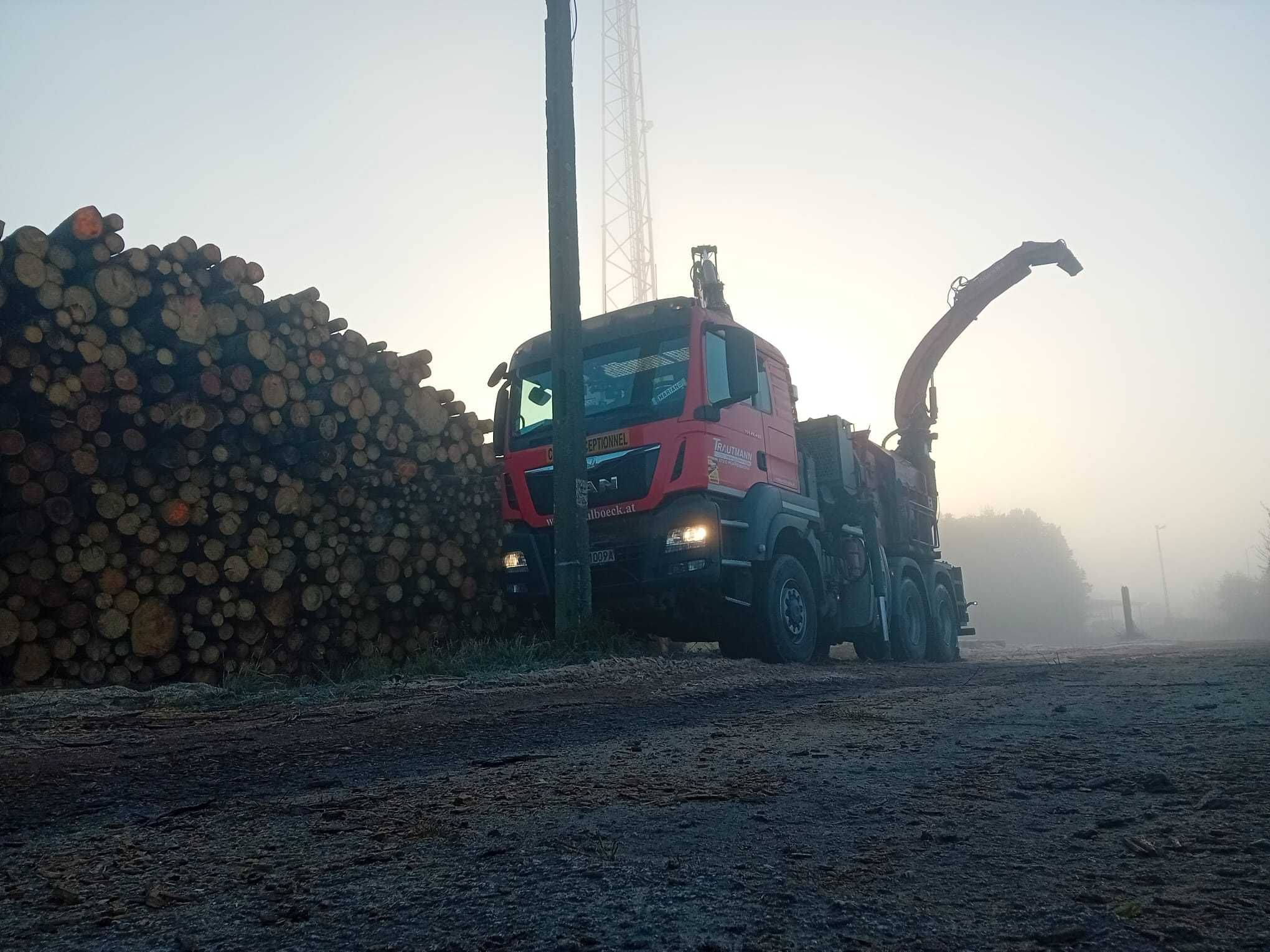 Wycinki, karczowanie nieużytków, sadów, lasów, terenów pod budowę